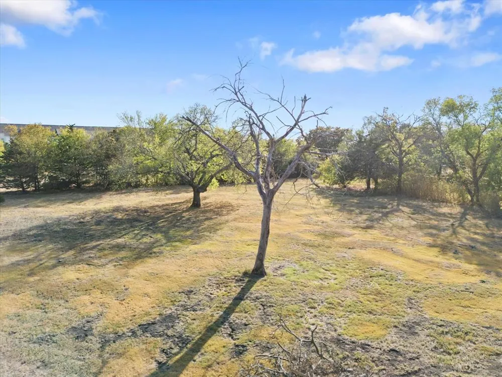 E Cherry Tree Lane Fate, TX 75087