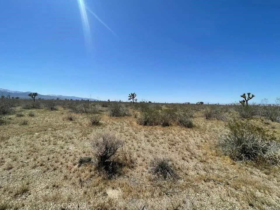 -Dos Palmas Rd. Pinon Hills, CA 92372