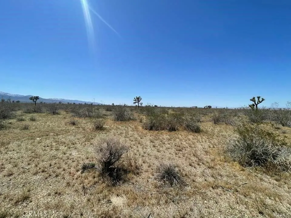 -Dos Palmas Rd. Pinon Hills, CA 92372