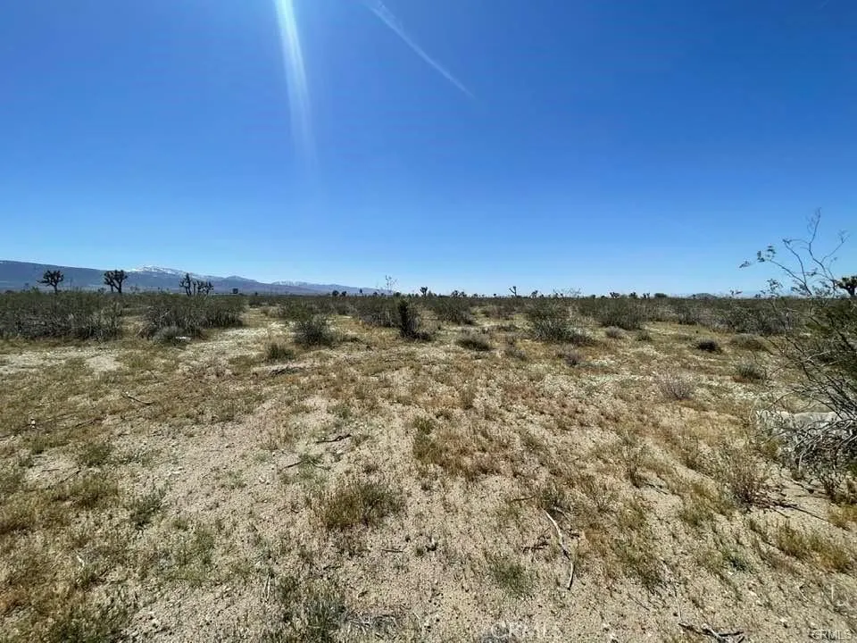 -Dos Palmas Rd. Pinon Hills, CA 92372