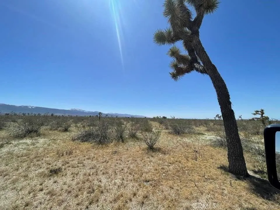 -Dos Palmas Rd. Pinon Hills, CA 92372