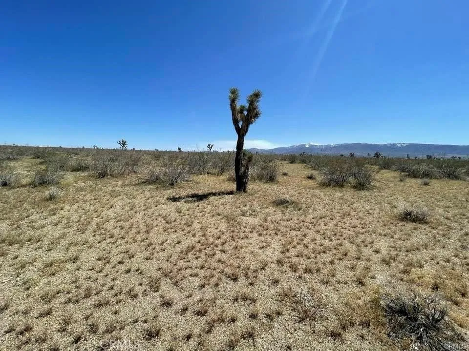 -Dos Palmas Rd. Pinon Hills, CA 92372