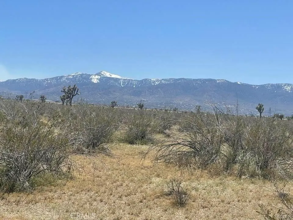 -Dos Palmas Rd. Pinon Hills, CA 92372
