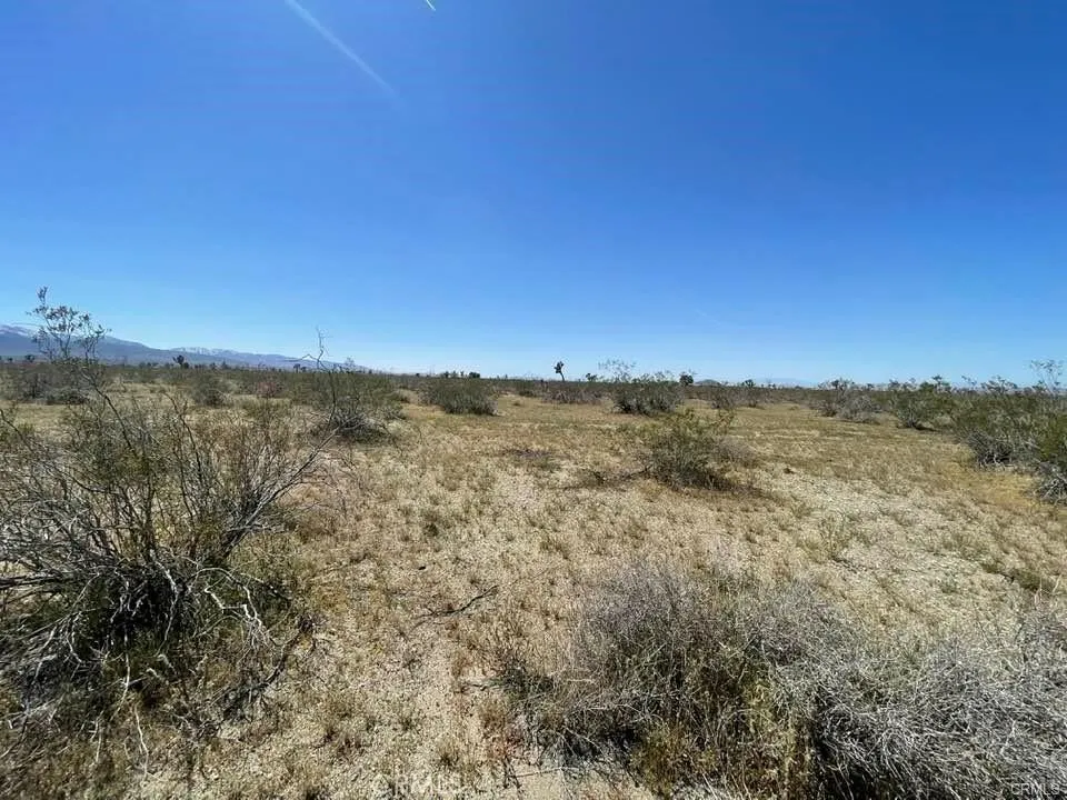 -Dos Palmas Rd. Pinon Hills, CA 92372