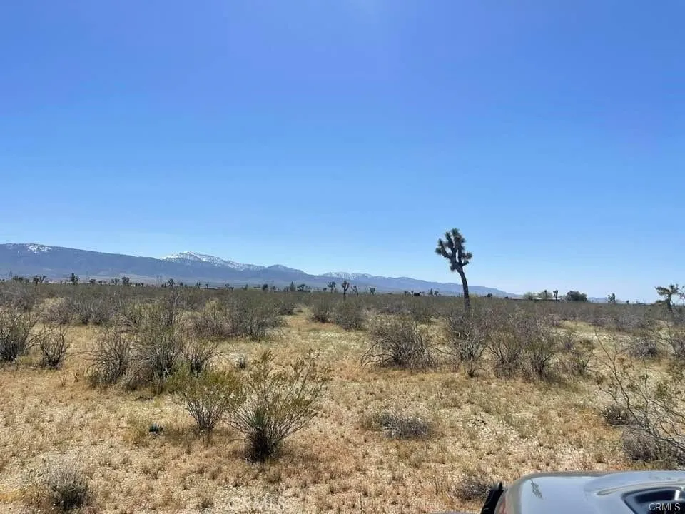 -Dos Palmas Rd. Pinon Hills, CA 92372