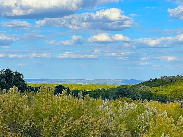 621 Bosque Trail Marble Falls, TX 78654