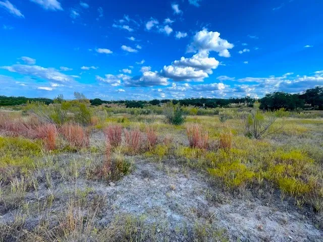621 Bosque Trail Marble Falls, TX 78654