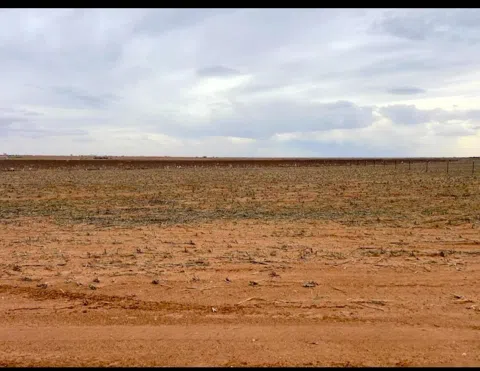 6 County Road 1100