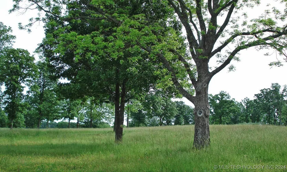 1242 Watercolor Drive Tahlequah, OK 74464