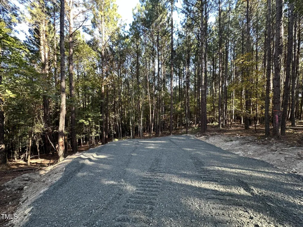 176 Green Turtle Lane Pittsboro, NC 27312
