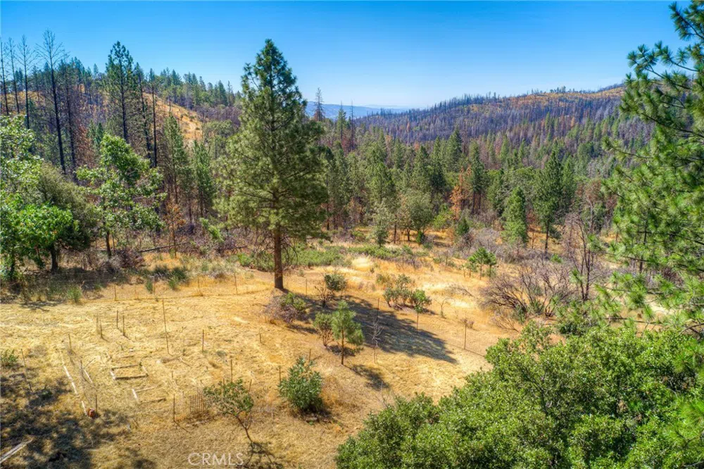 110 Black Bear Road Berry Creek, CA 95916