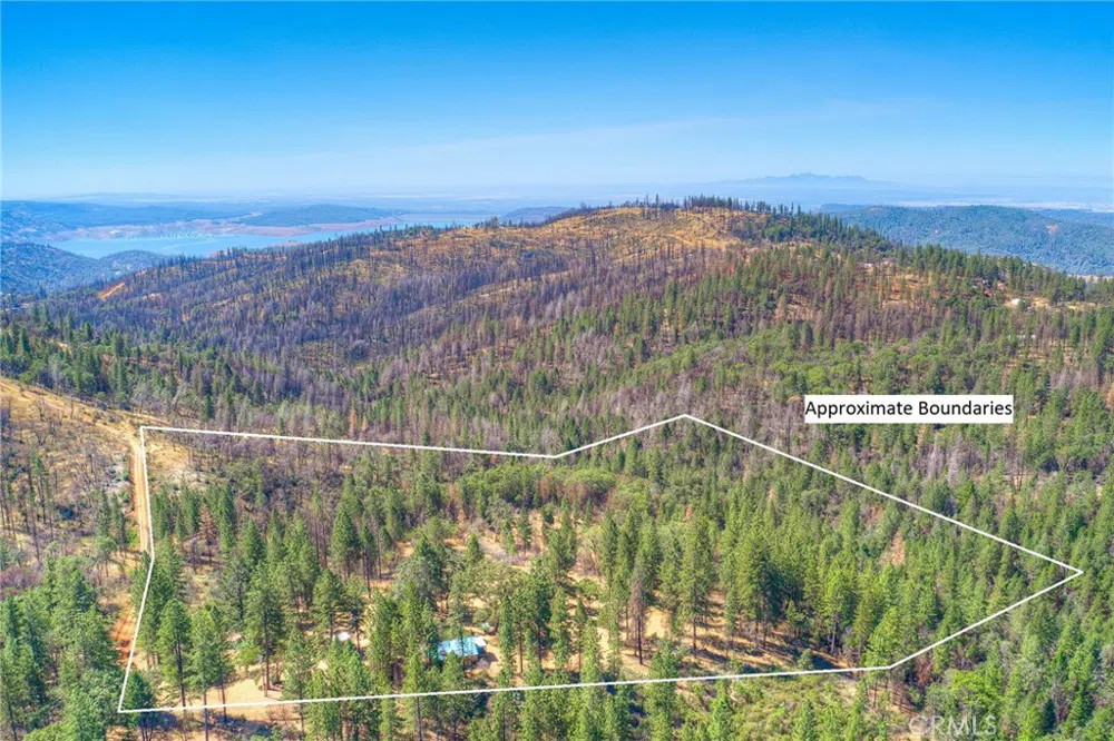110 Black Bear Road Berry Creek, CA 95916