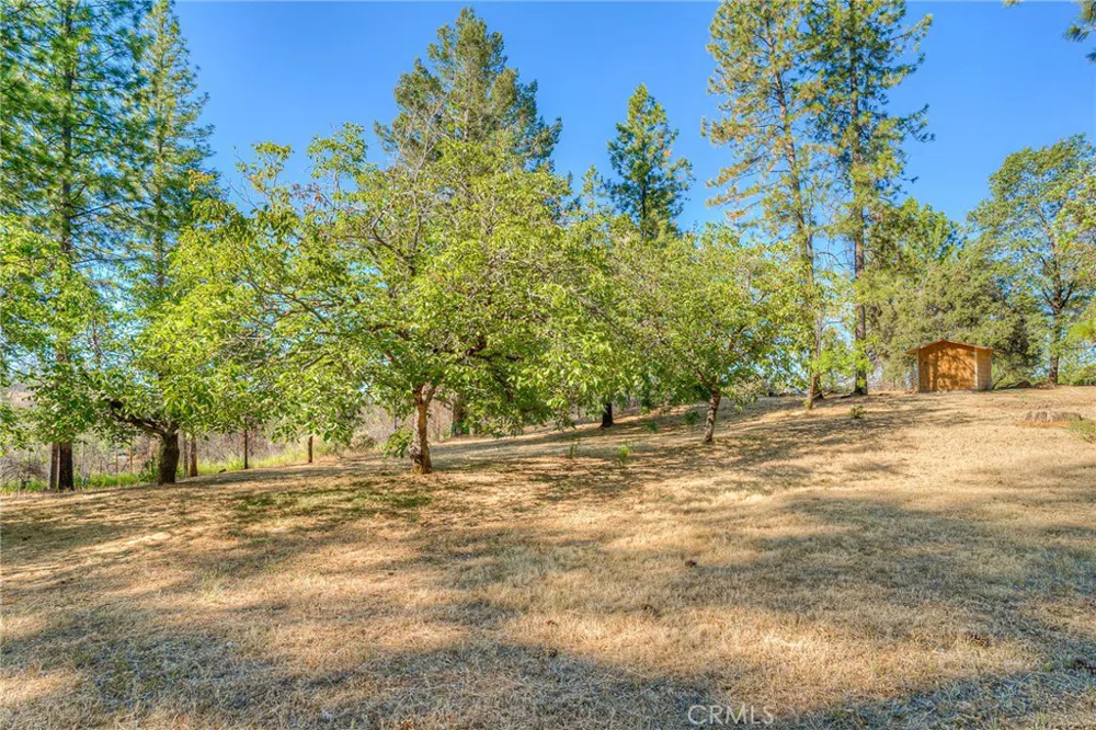 110 Black Bear Road Berry Creek, CA 95916
