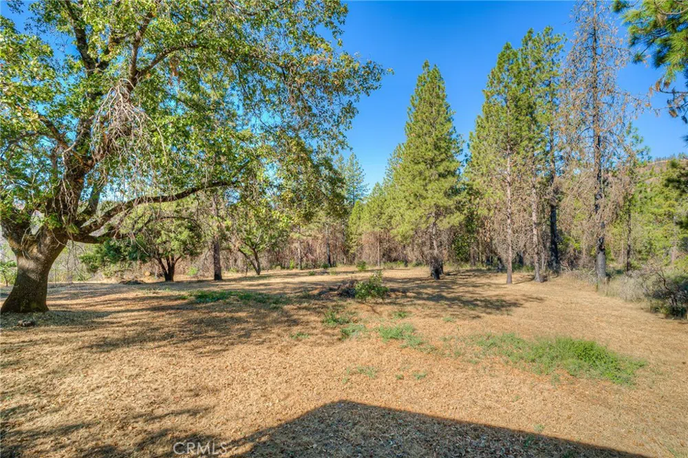 110 Black Bear Road Berry Creek, CA 95916