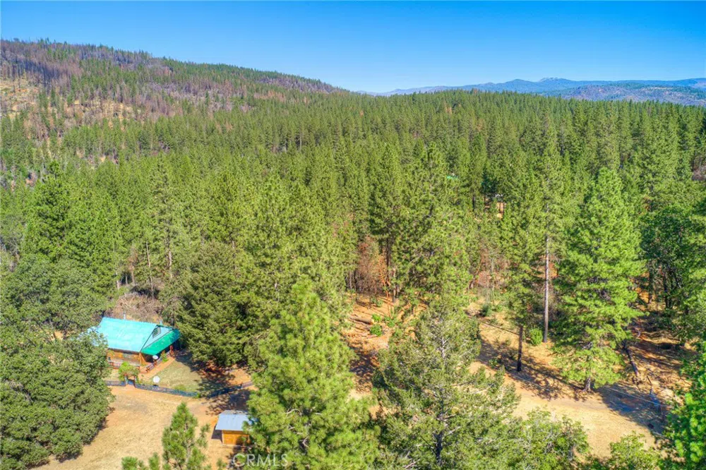 110 Black Bear Road Berry Creek, CA 95916