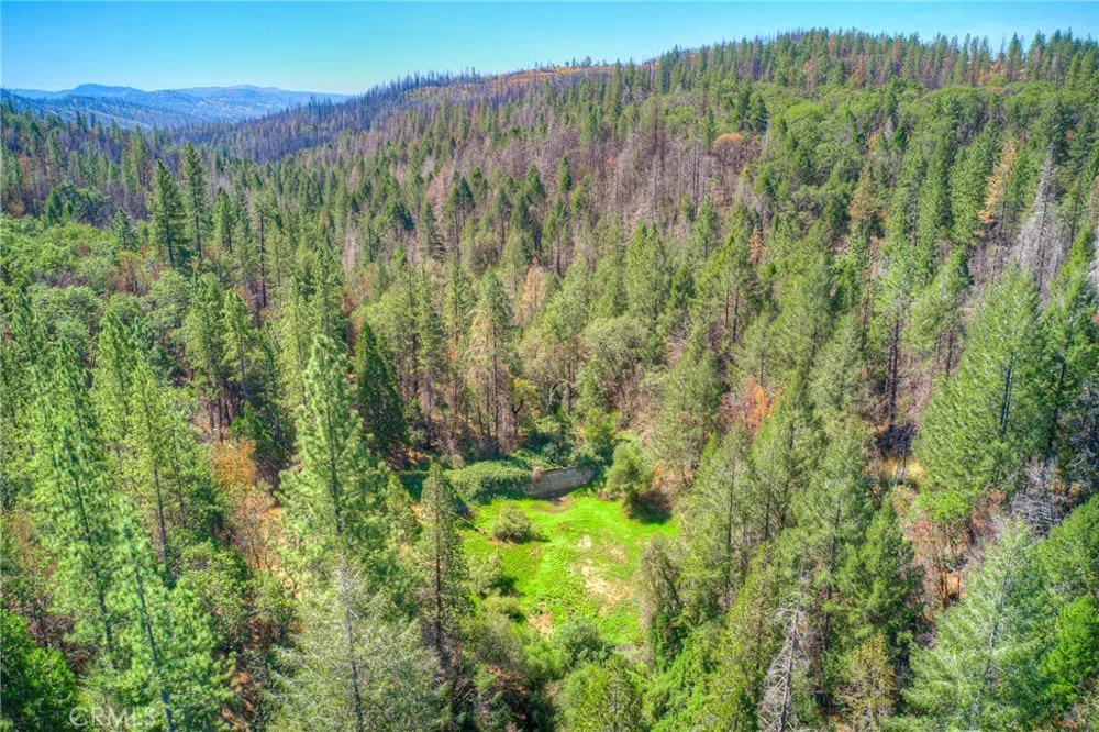 110 Black Bear Road Berry Creek, CA 95916