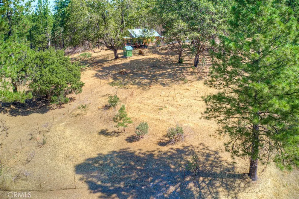 110 Black Bear Road Berry Creek, CA 95916
