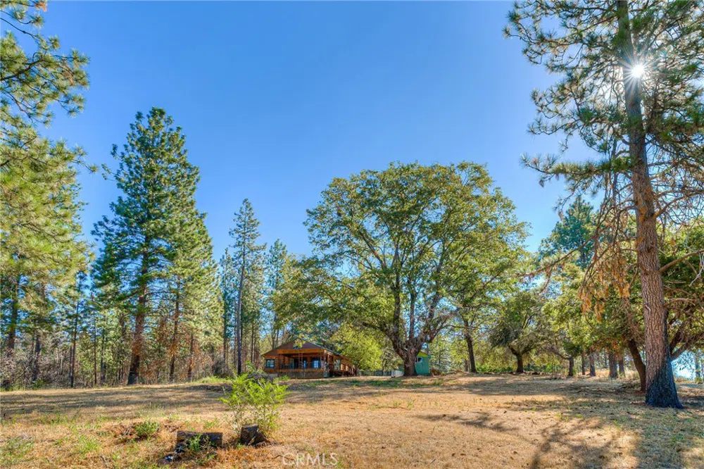 110 Black Bear Road Berry Creek, CA 95916