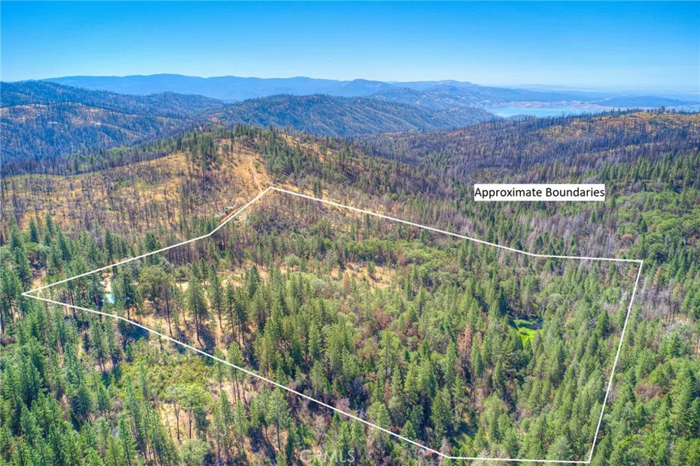 110 Black Bear Road Berry Creek, CA 95916