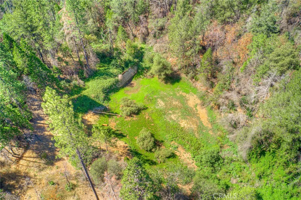 110 Black Bear Road Berry Creek, CA 95916