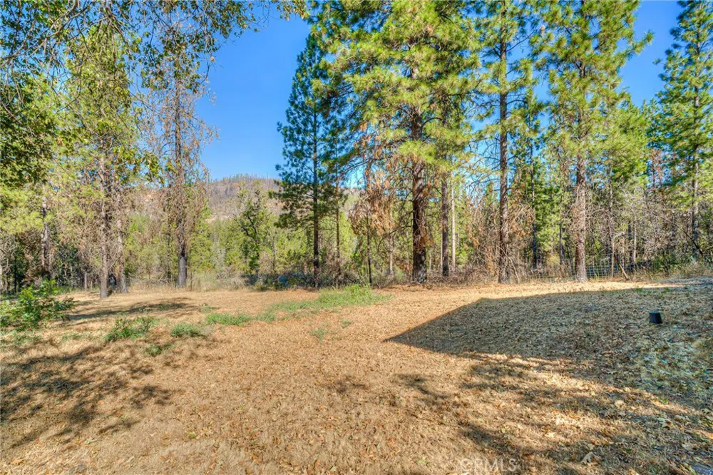 110 Black Bear Road Berry Creek, CA 95916