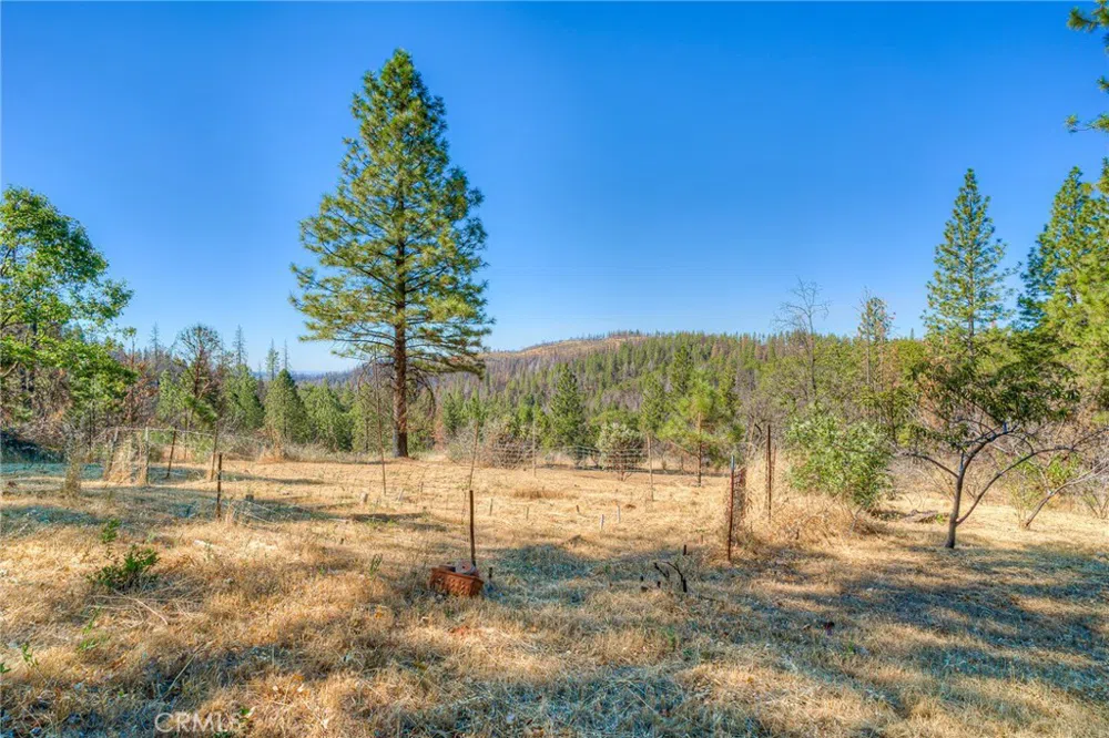 110 Black Bear Road Berry Creek, CA 95916