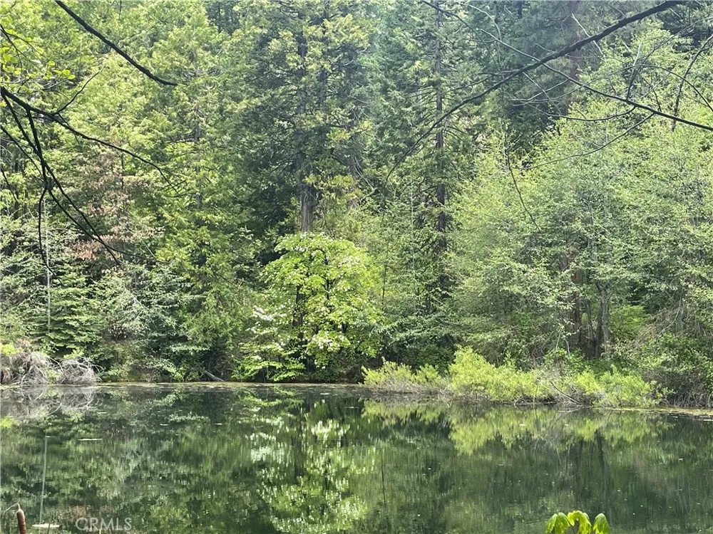5657 Worman Road Ahwahnee, CA 93601