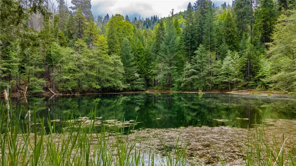 5657 Worman Road Ahwahnee, CA 93601