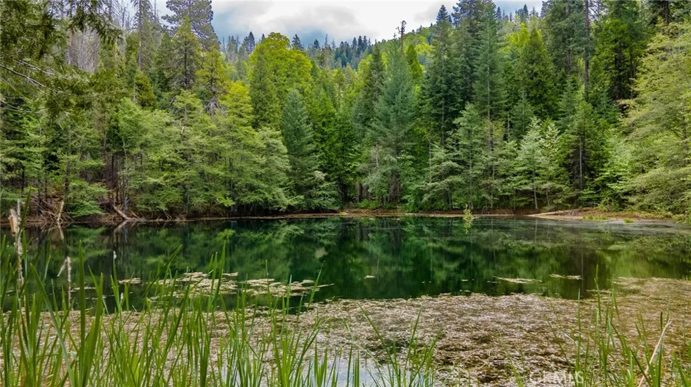 5657 Worman Road Ahwahnee, CA 93601