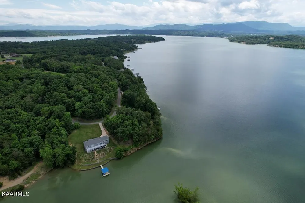 1147 Lakefront Place Baneberry, TN 37890