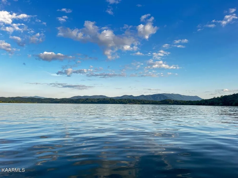 1147 Lakefront Place Baneberry, TN 37890