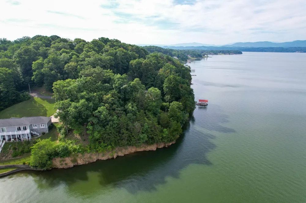 1147 Lakefront Place Baneberry, TN 37890