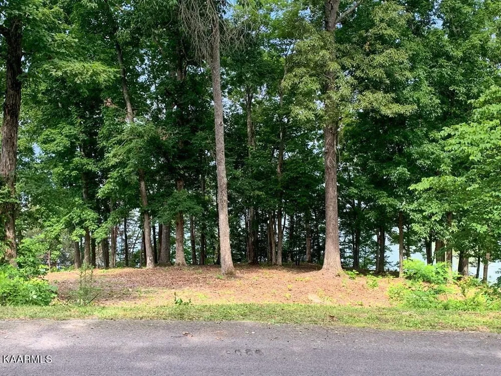 1147 Lakefront Place Baneberry, TN 37890