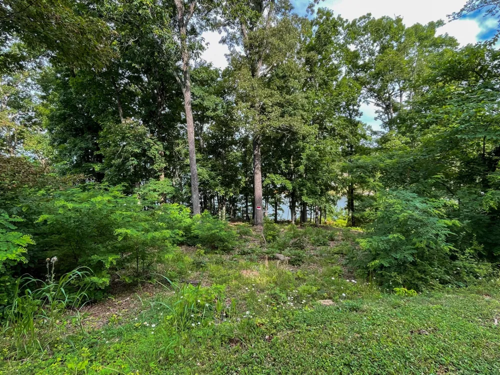 1147 Lakefront Place Baneberry, TN 37890
