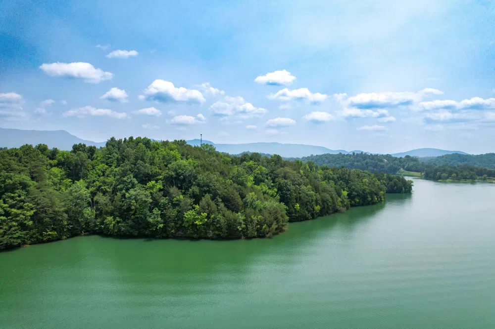 2751 Von Hill Rd Dandridge, TN 37725