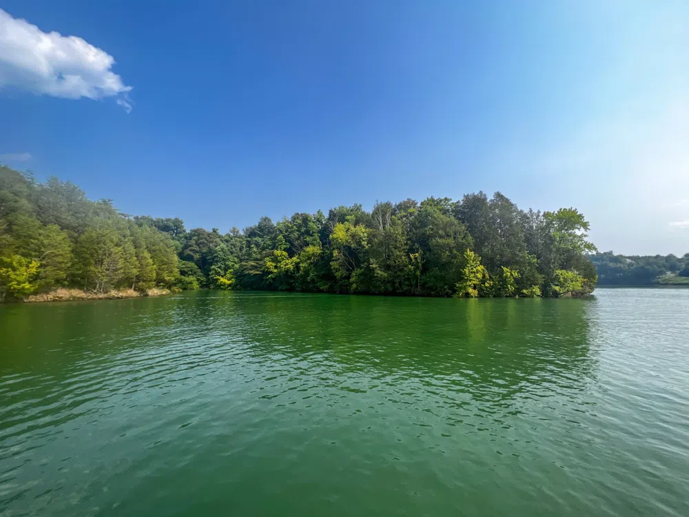 2751 Von Hill Rd Dandridge, TN 37725
