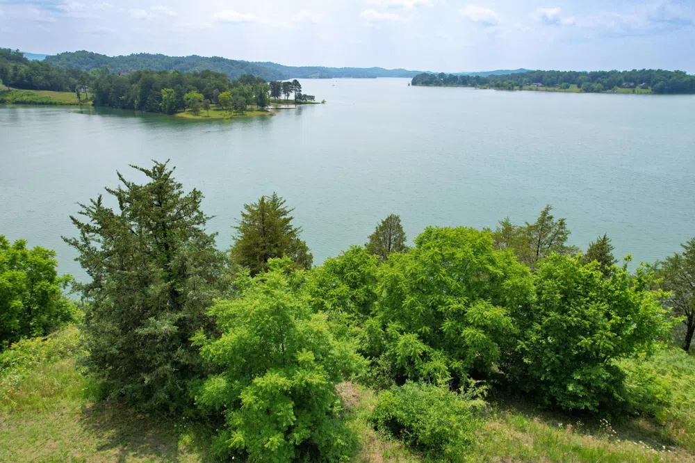 2751 Von Hill Rd Dandridge, TN 37725
