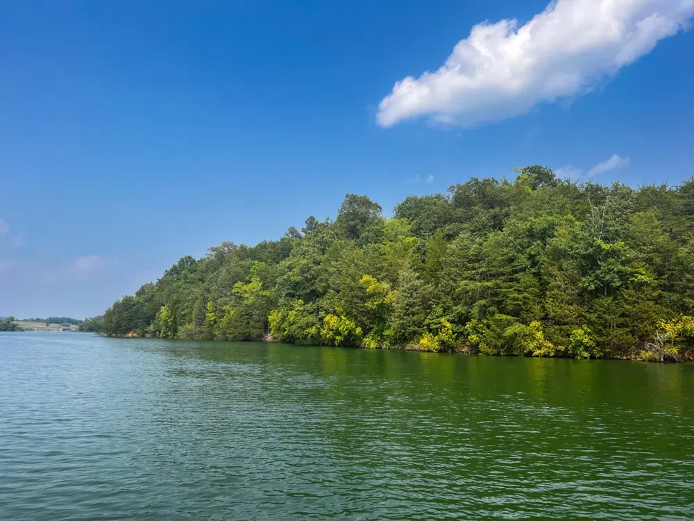 2751 Von Hill Rd Dandridge, TN 37725