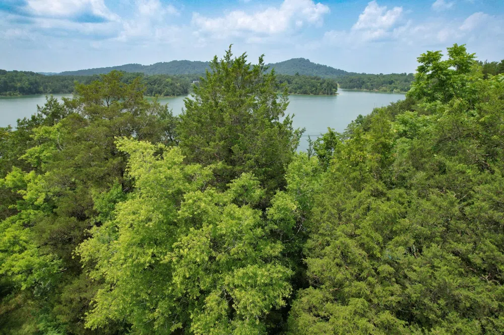 2751 Von Hill Rd Dandridge, TN 37725