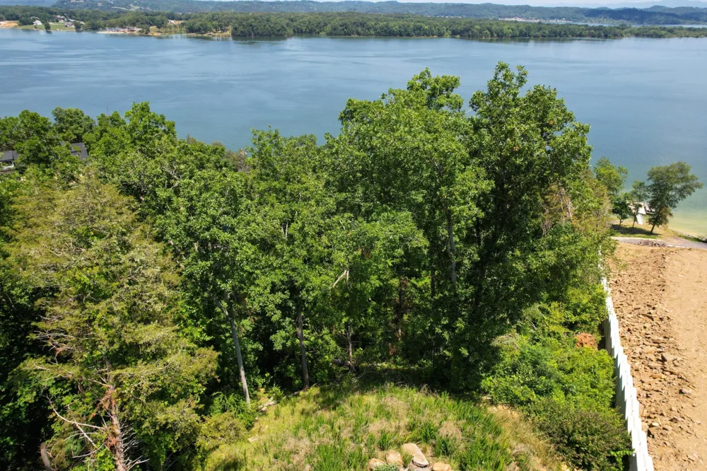 74 Clear Point Dandridge, TN 37725