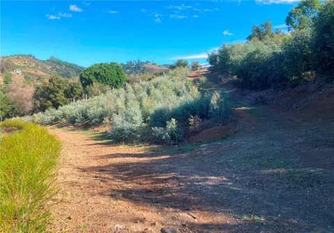 16 Sandia Creek Drive