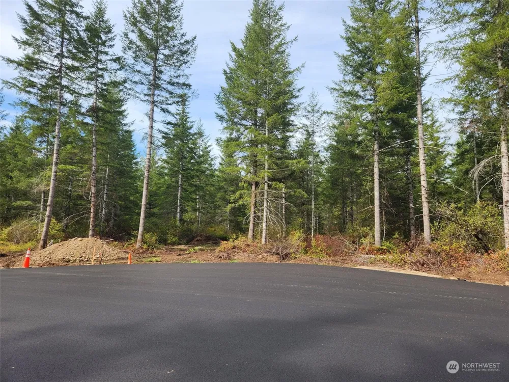 0 Lot 1 Div 1 Raven Lane Elma, WA 98541