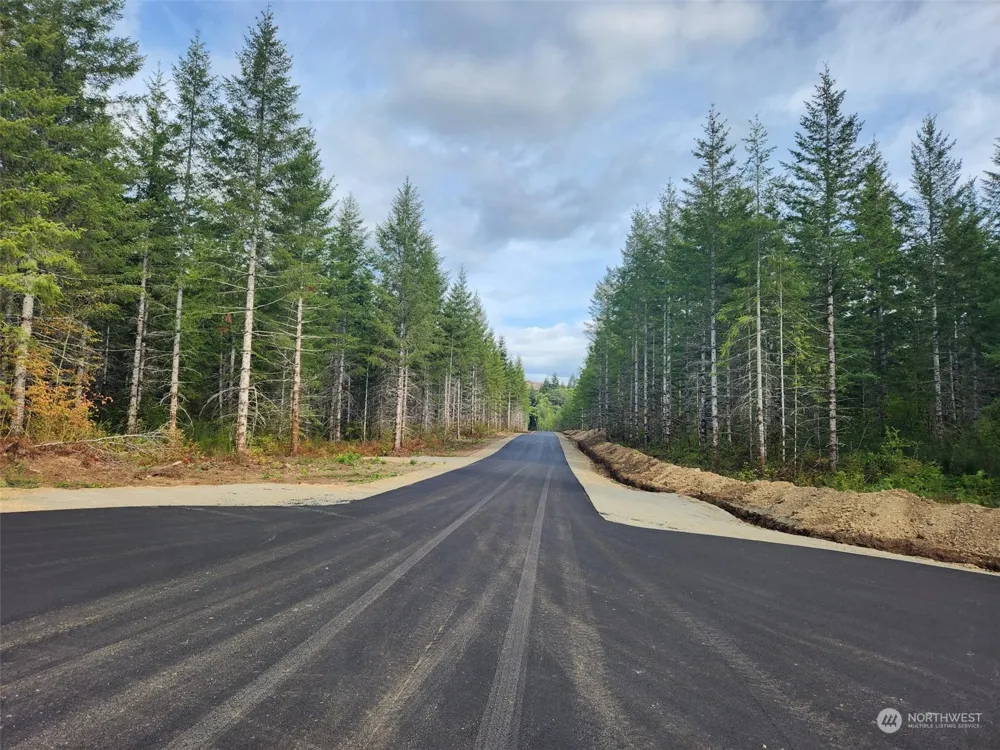 0 Lot 1 Div 1 Raven Lane Elma, WA 98541