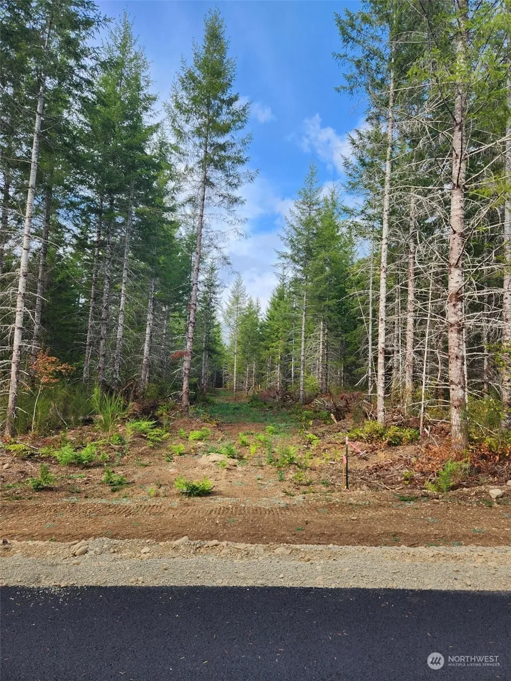 0 Lot 1 Div 1 Raven Lane Elma, WA 98541