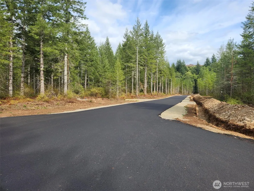 0 Lot 1 Div 1 Raven Lane Elma, WA 98541