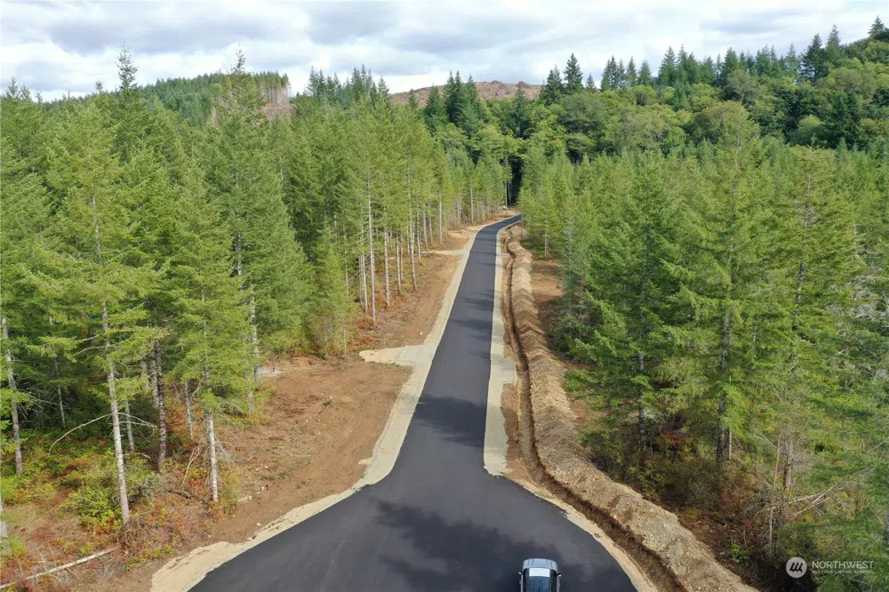 0 Lot 1 Div 2 Raven Lane Elma, WA 98541