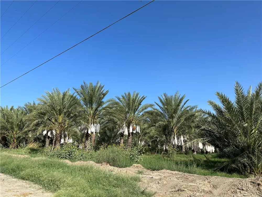 60504 Jackson Street Unincorporated, CA 92274