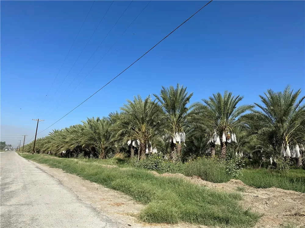 60504 Jackson Street Unincorporated, CA 92274