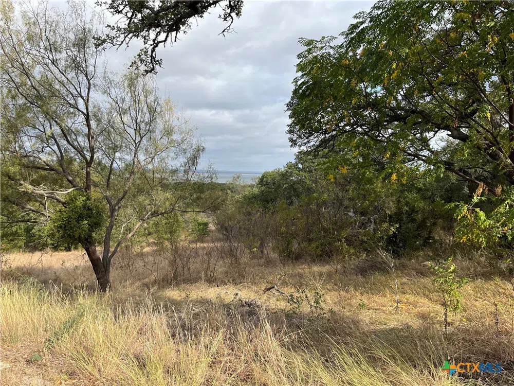 36 Keystone Ridge Buchanan Dam, TX 78609