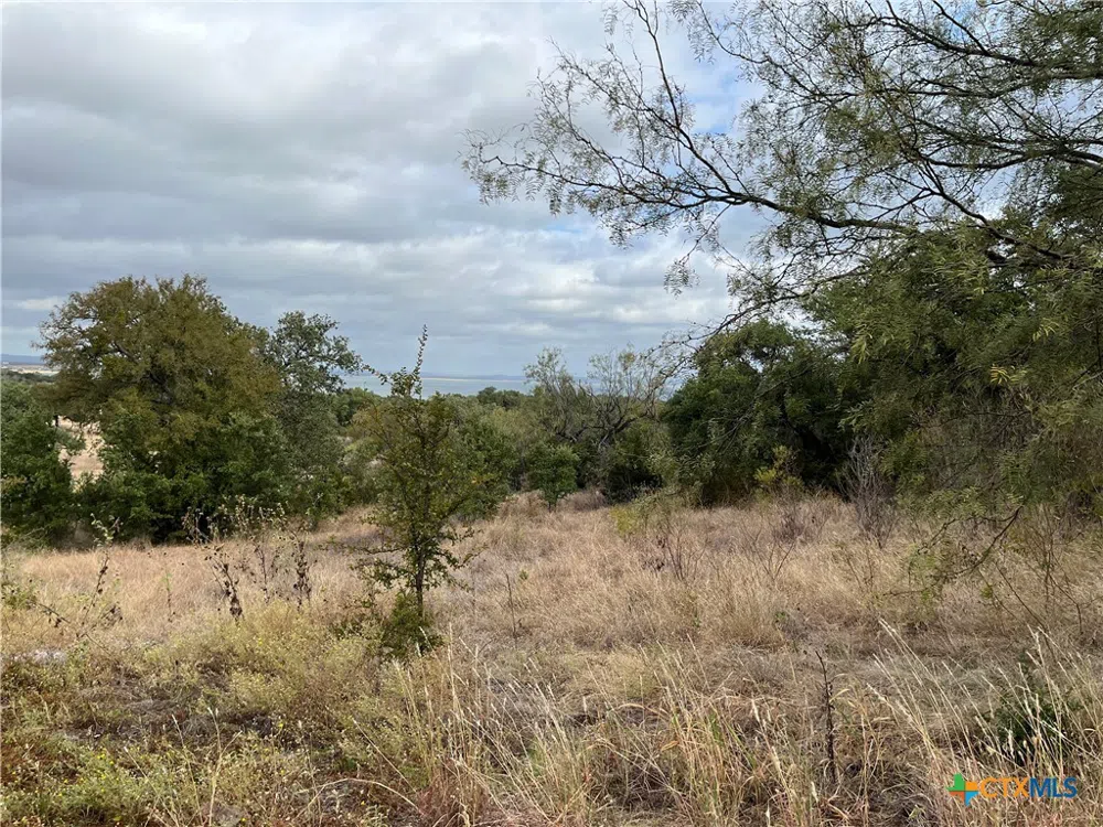 36 Keystone Ridge Buchanan Dam, TX 78609